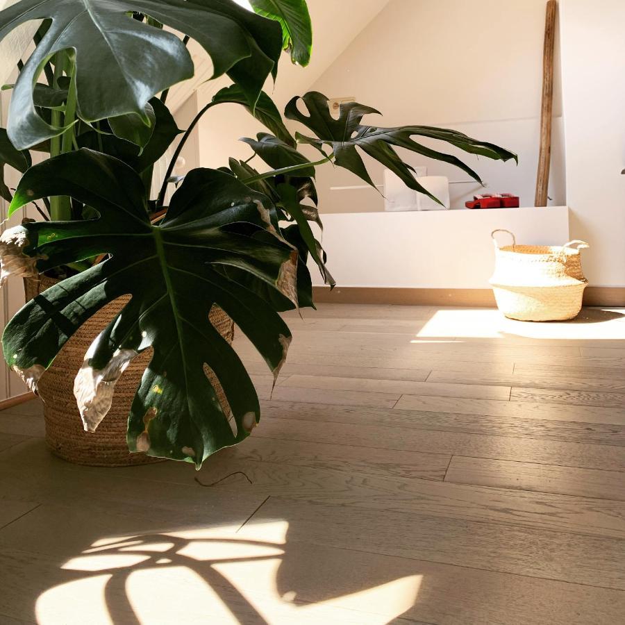 Maison D'Artiste Gent Bagian luar foto